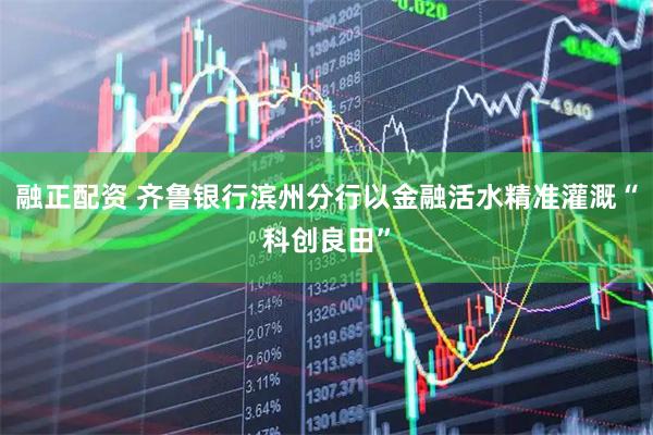 融正配资 齐鲁银行滨州分行以金融活水精准灌溉“科创良田”