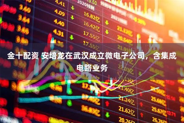 金十配资 安培龙在武汉成立微电子公司，含集成电路业务