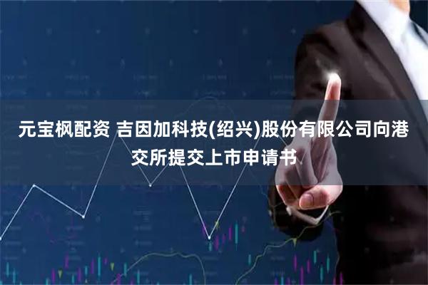 元宝枫配资 吉因加科技(绍兴)股份有限公司向港交所提交上市申请书